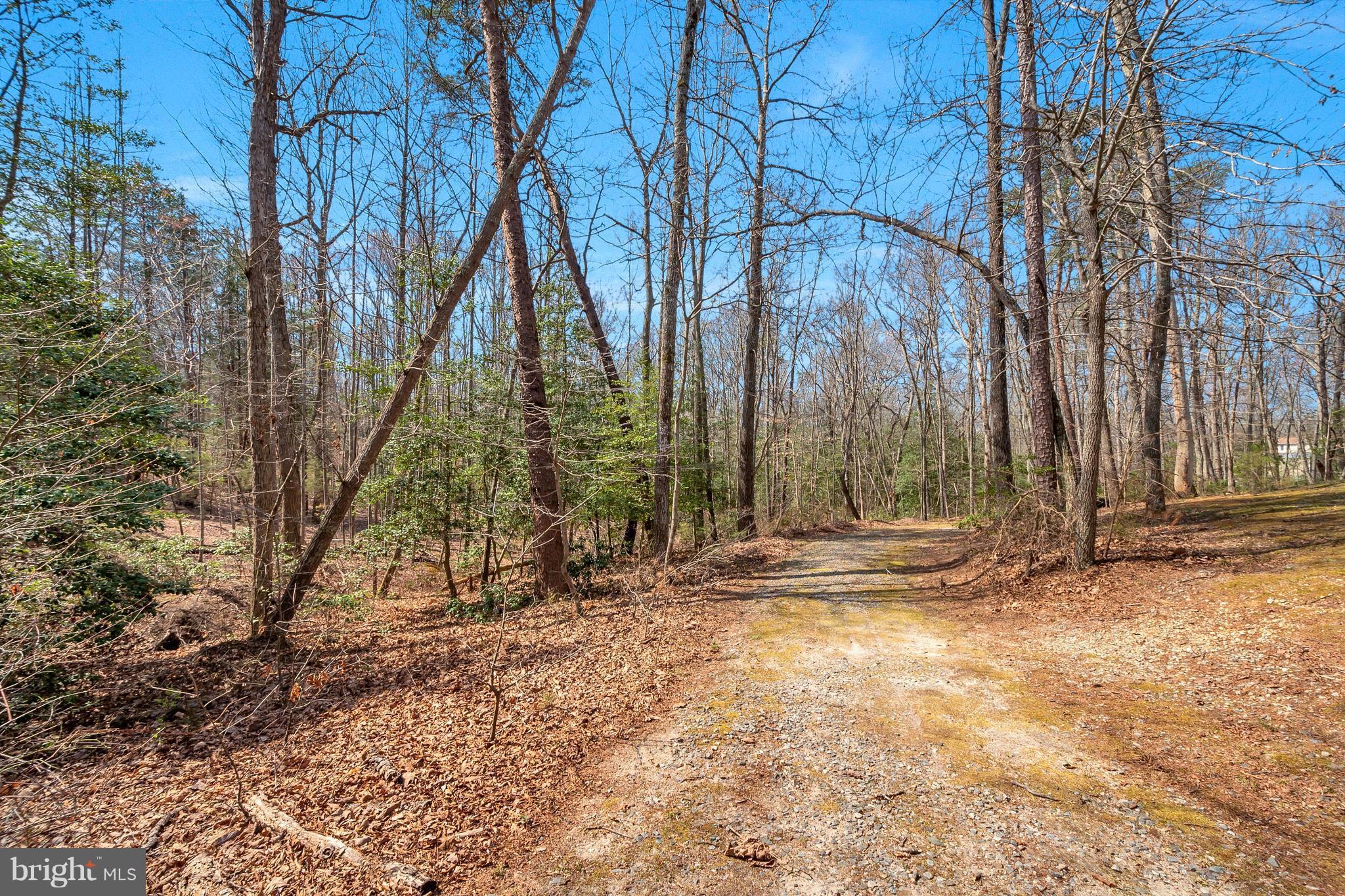 29482 Secretariat Road Ruther Glen, VA 22546 - Photo 26 of 27 Exterior (General)