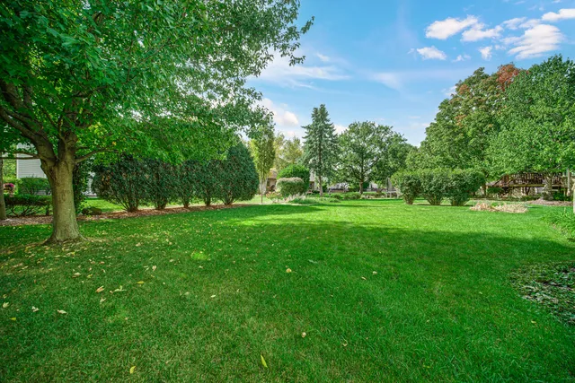 a view of grassy field with benches