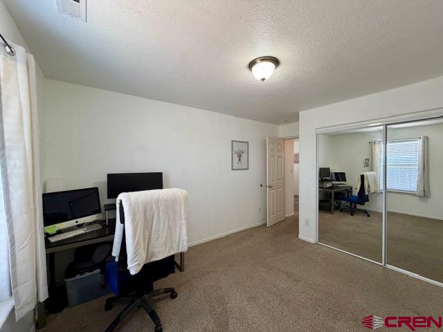 544 20th Street Delta, CO 81416 - Photo 31 of 44 a living room with furniture and a flat screen tv
