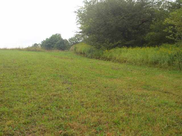 17 Pointy Knob Road Davis, WV 26260 - Photo 6 of 20 Gallery Image 6