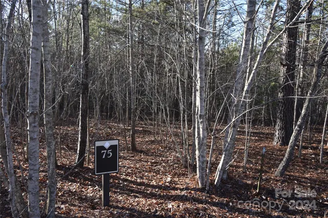 $31,000 | Lot 75 Tayberry Drive, Nebo, NC 28761