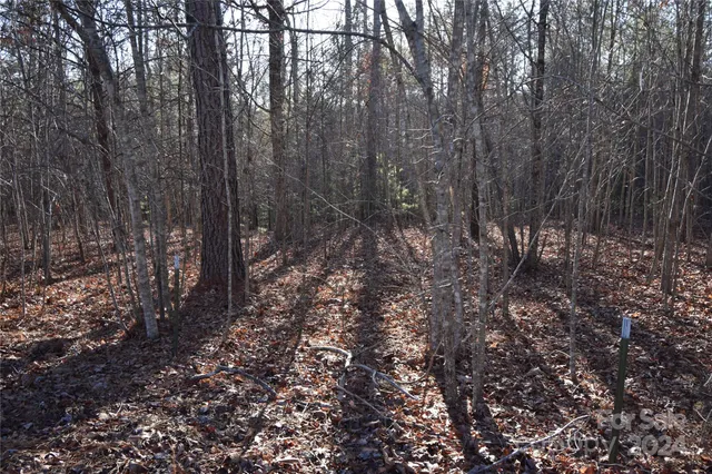 $31,000 | Lot 75 Tayberry Drive, Nebo, NC 28761