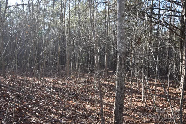 $31,000 | Lot 75 Tayberry Drive, Nebo, NC 28761