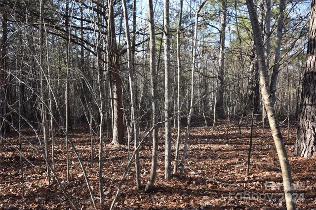 $31,000 | Lot 75 Tayberry Drive, Nebo, NC 28761