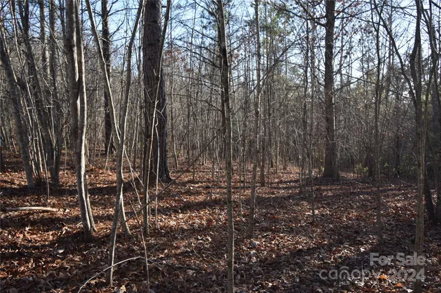 $31,000 | Lot 75 Tayberry Drive, Nebo, NC 28761