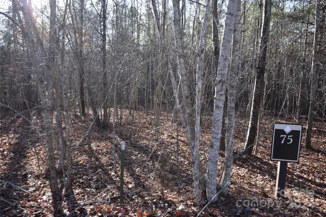 $31,000 | Lot 75 Tayberry Drive, Nebo, NC 28761
