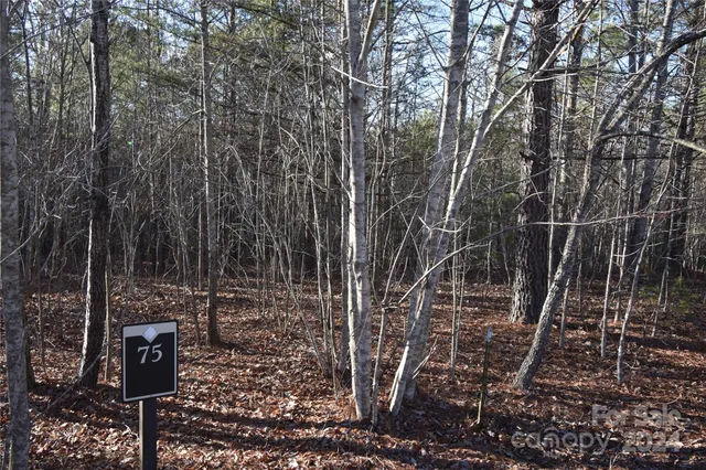 $31,000 | Lot 75 Tayberry Drive, Nebo, NC 28761