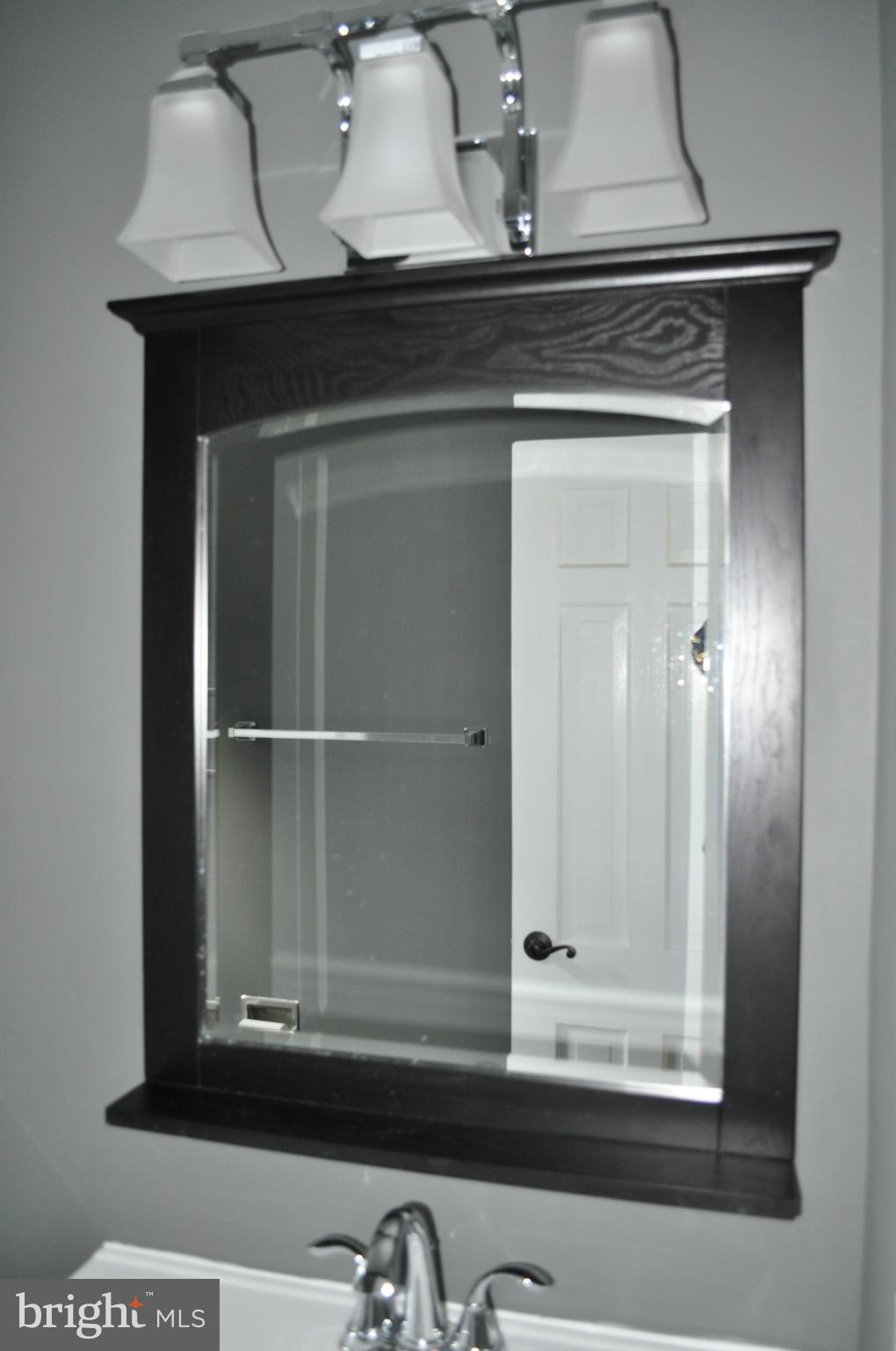 8738 Ridge Road Bethesda, MD 20817 - Photo 16 of 30 a view of a mirror