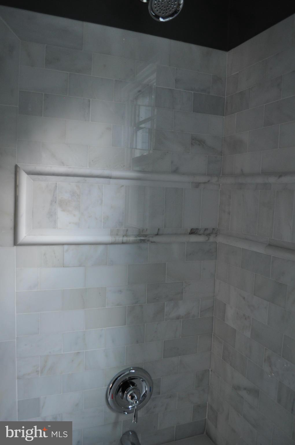 8738 Ridge Road Bethesda, MD 20817 - Photo 17 of 30 a close view of a shower in a bathroom