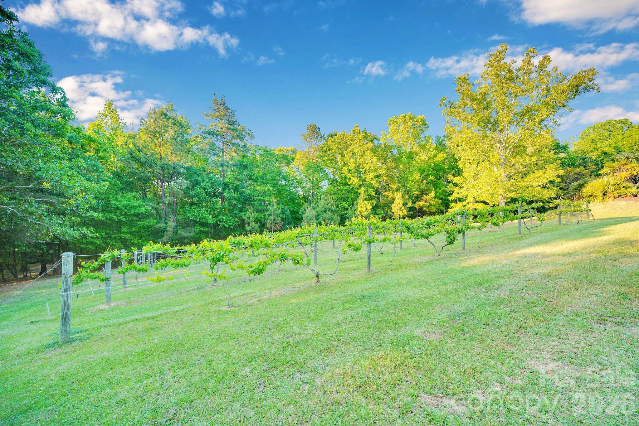 1171 State Rd S-29-376 Lancaster, SC 29720 - Photo 42 of 48