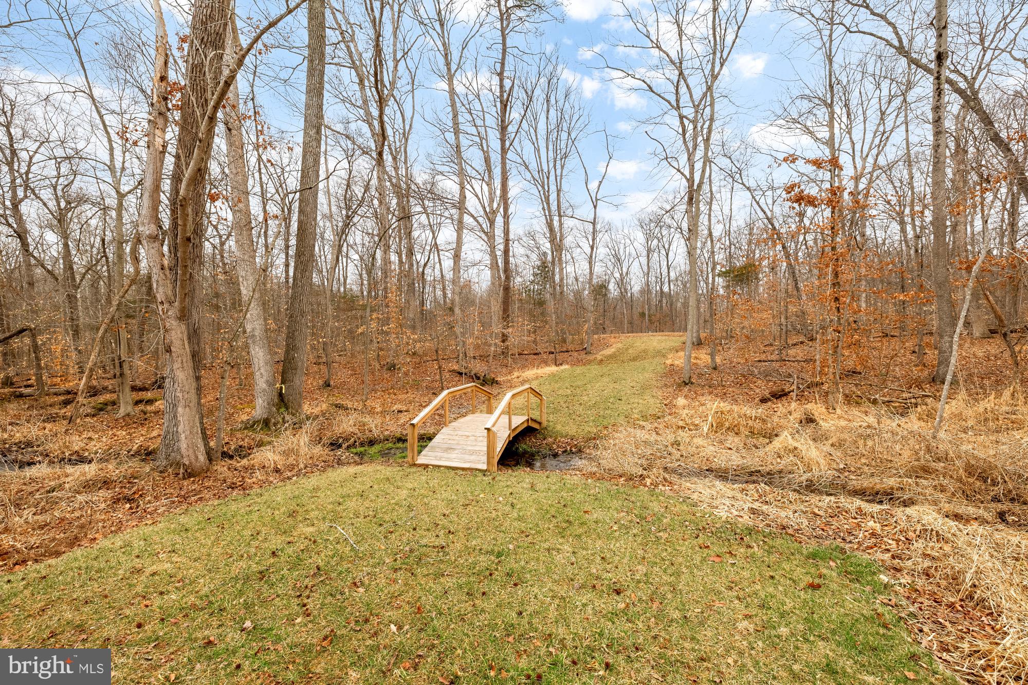 12650 Popes Head Road Clifton, VA 20124 - Photo 61 of 69 a view of a backyard with large trees