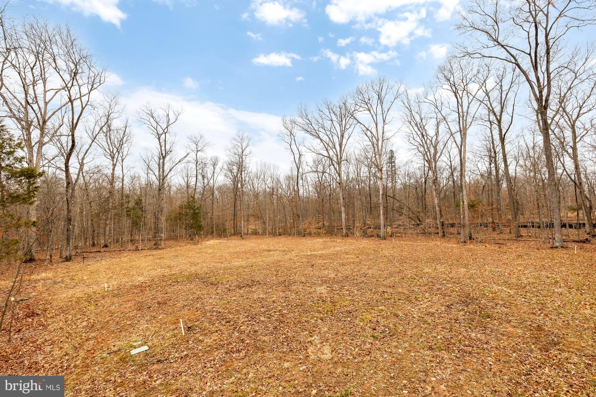 12650 Popes Head Road Clifton, VA 20124 - Photo 62 of 69 a backyard of a house with trees