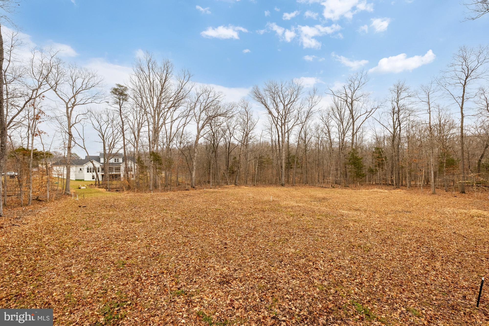 12650 Popes Head Road Clifton, VA 20124 - Photo 63 of 69 a view of outdoor space with trees