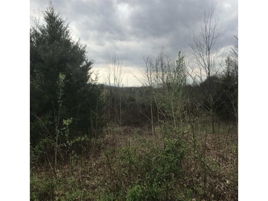 0 Dinwiddie Road, Unit 2 Chuckey, TN 37641 - Photo 2 of 6 Photo 2