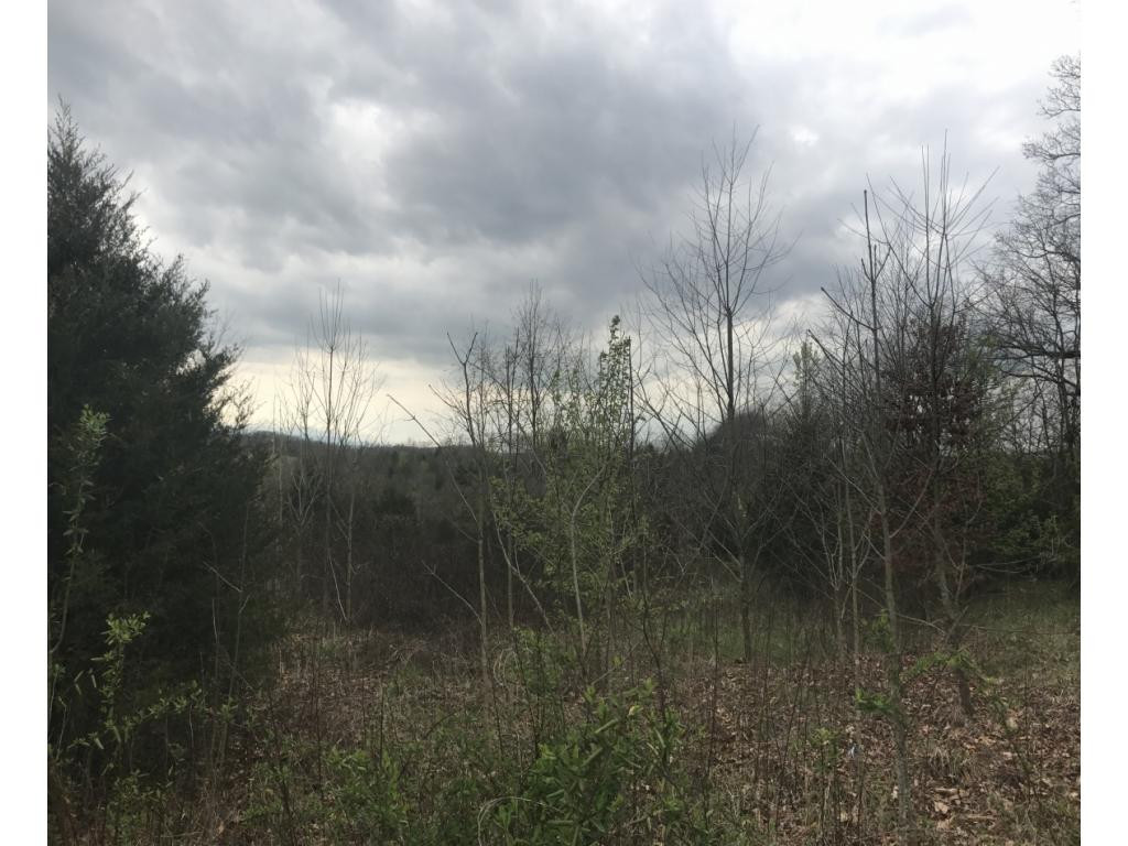 0 Dinwiddie Road, Unit 2 Chuckey, TN 37641 - Photo 3 of 6 Photo 3