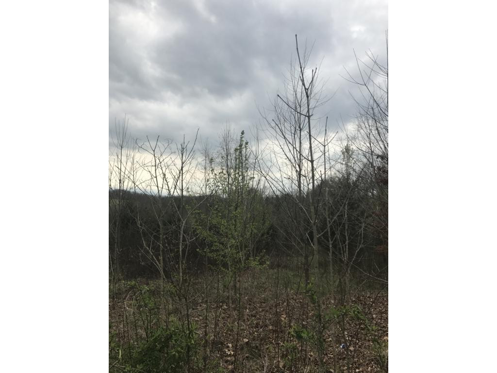 0 Dinwiddie Road, Unit 2 Chuckey, TN 37641 - Photo 4 of 6 Photo 4