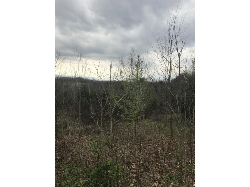 0 Dinwiddie Road, Unit 2 Chuckey, TN 37641 - Photo 6 of 6 Photo 6