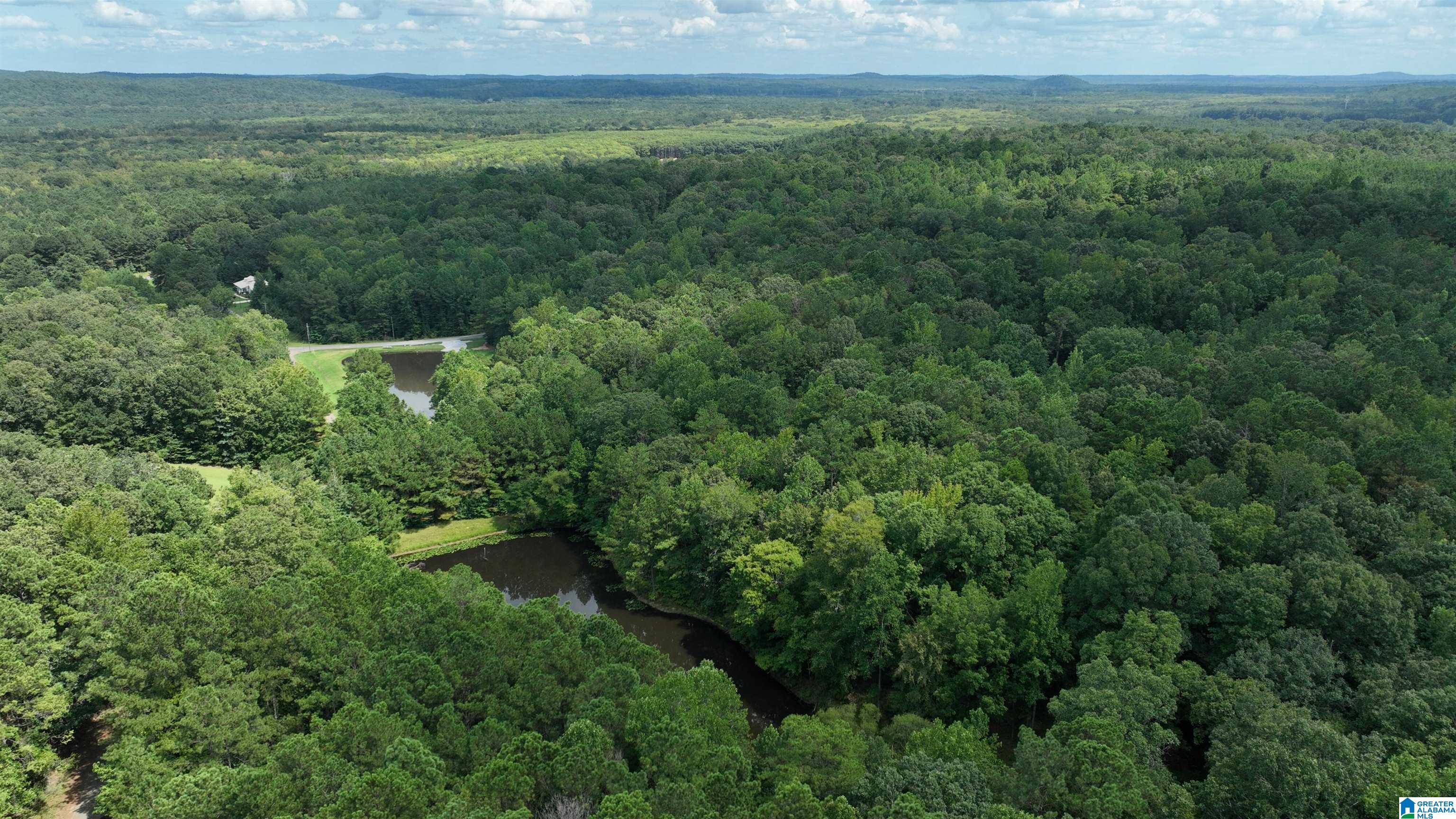 0 Oak Creek Road Fayette, AL 35555 - Photo 9 of 12