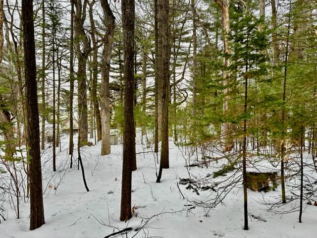 East Numbers Road Cheboygan, MI 49721 - Photo 5 of 8 Gallery Image 5