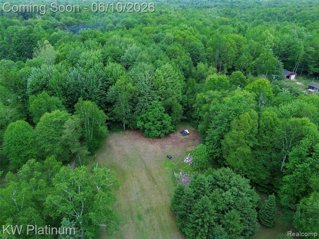 5324 Ravenswood Road Smiths Creek, MI 48074 - Photo 49 of 54