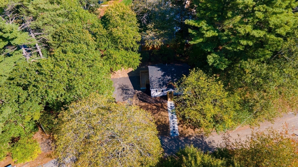 7 Groveland Street Ayer, MA 01432 - Photo 10 of 35 a plant that is sitting in a garden