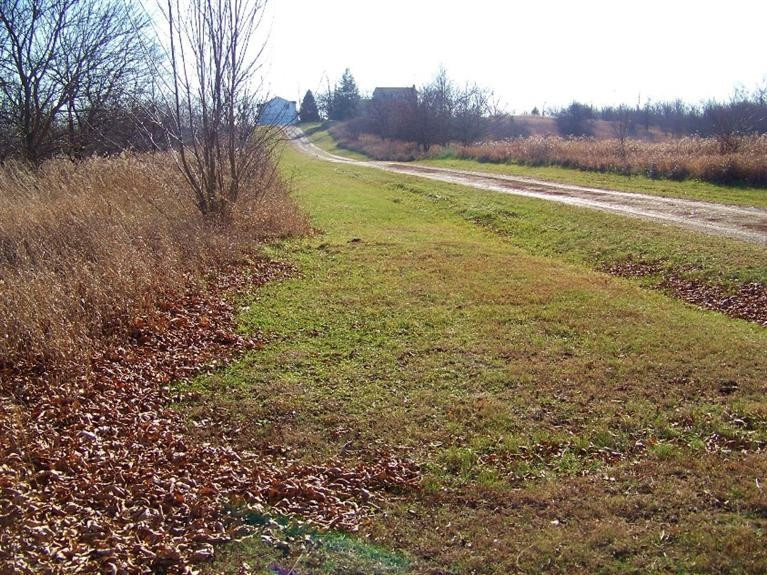 16201 Herman Road Manchester, MI 48158 - Photo 2 of 10 Photo 2