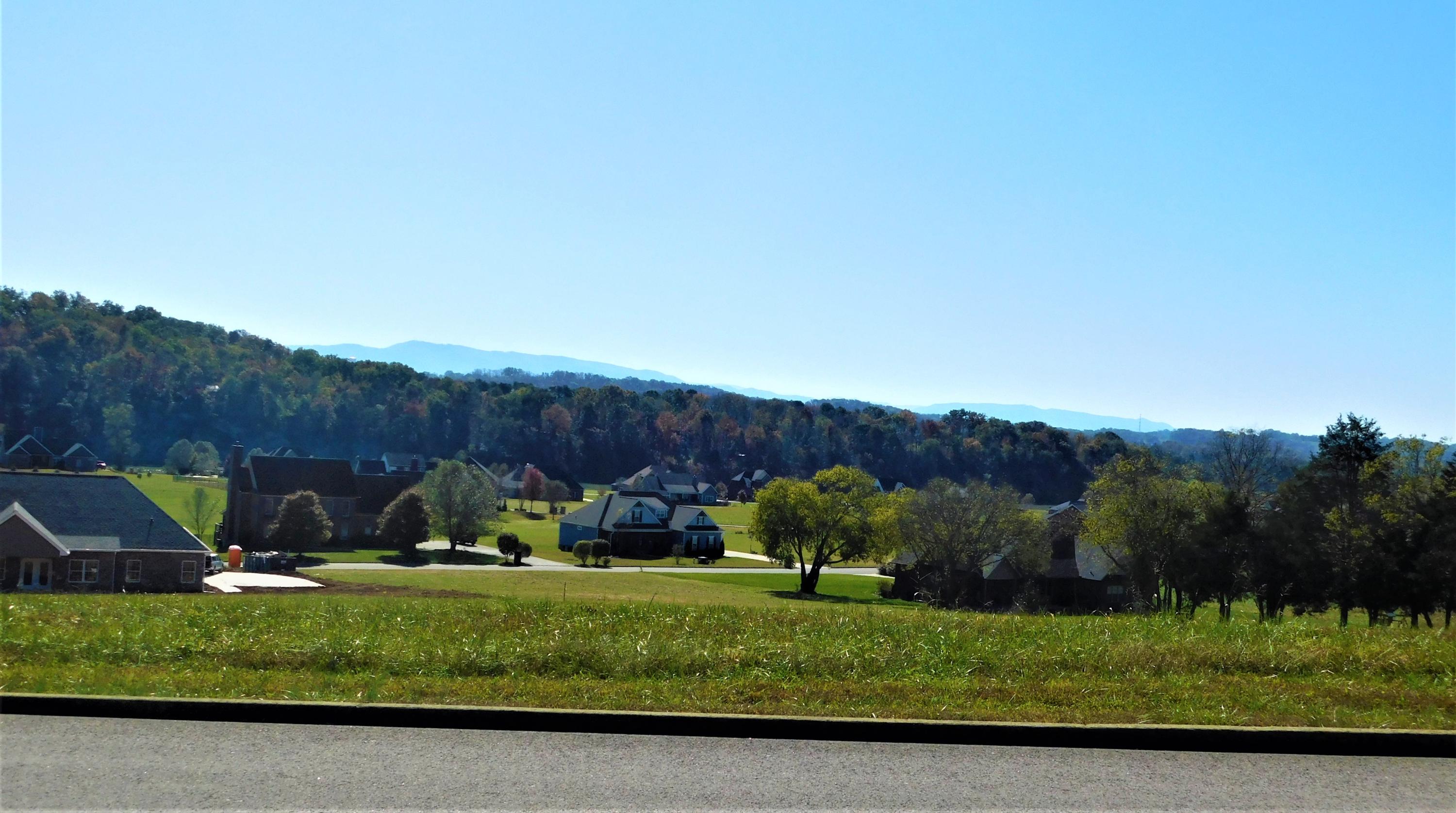 Boston Chase Road Kodak, TN 37764 - Photo 2 of 16 DSCN0093