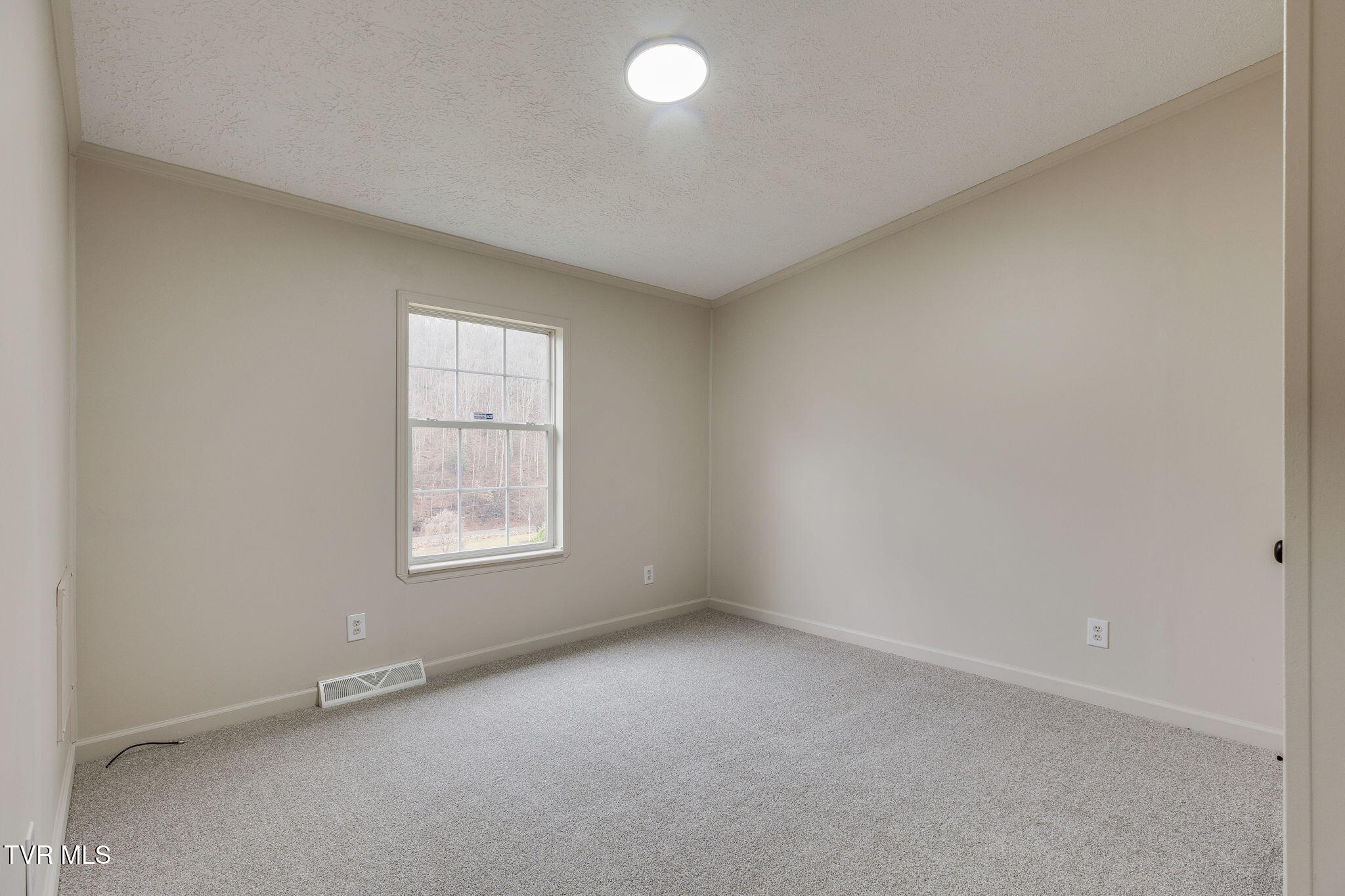 37308 Chestnut Mountain Road Damascus, VA 24236 - Photo 19 of 35 021