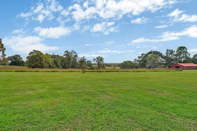 a view of yard and ocean