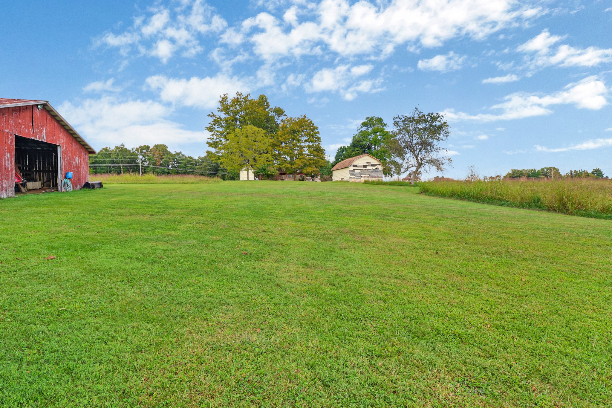 1386 Pigeon Ridge Road Crossville, TN 38572 - Photo 13 of 41 a view of a big yard with a house