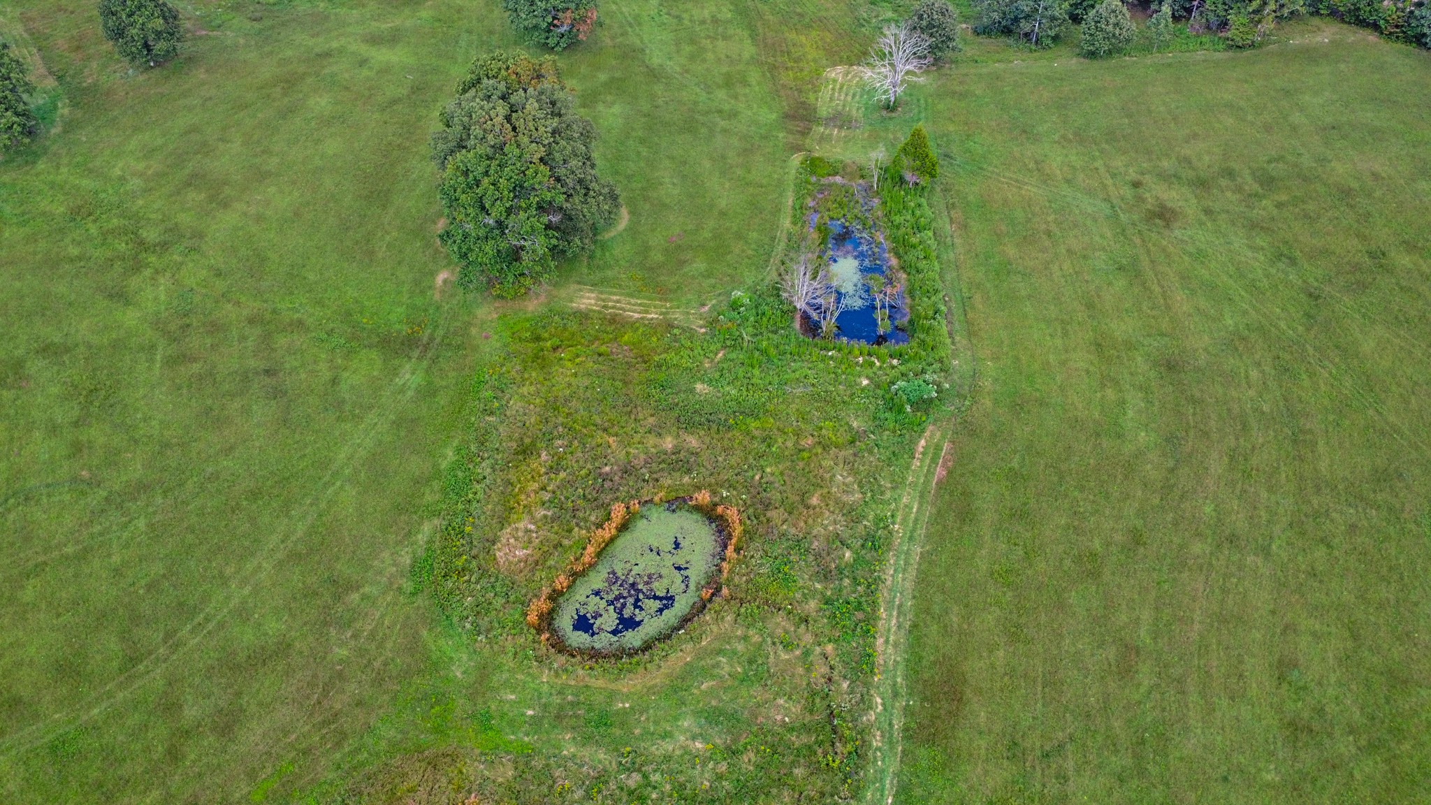 1386 Pigeon Ridge Road Crossville, TN 38572 - Photo 14 of 41 a view of outdoor space and yard