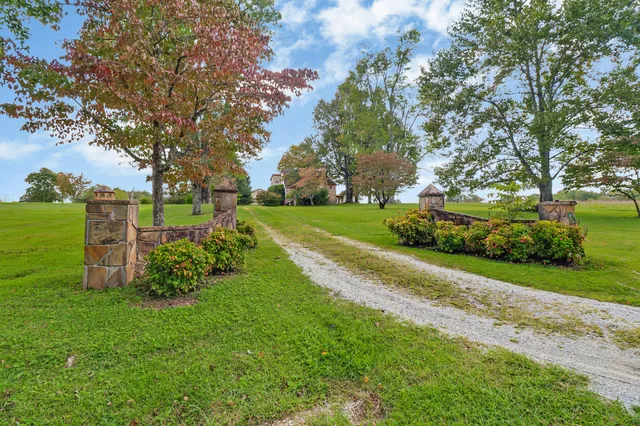 a view of a park with large trees