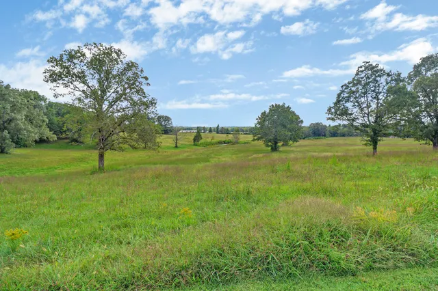 a view of a golf course with a trees