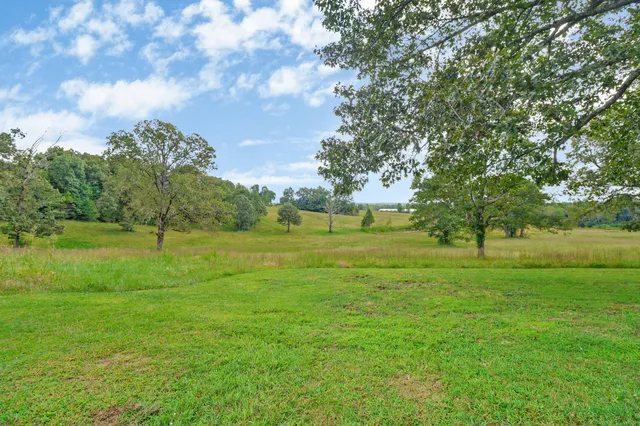 a view of a green field