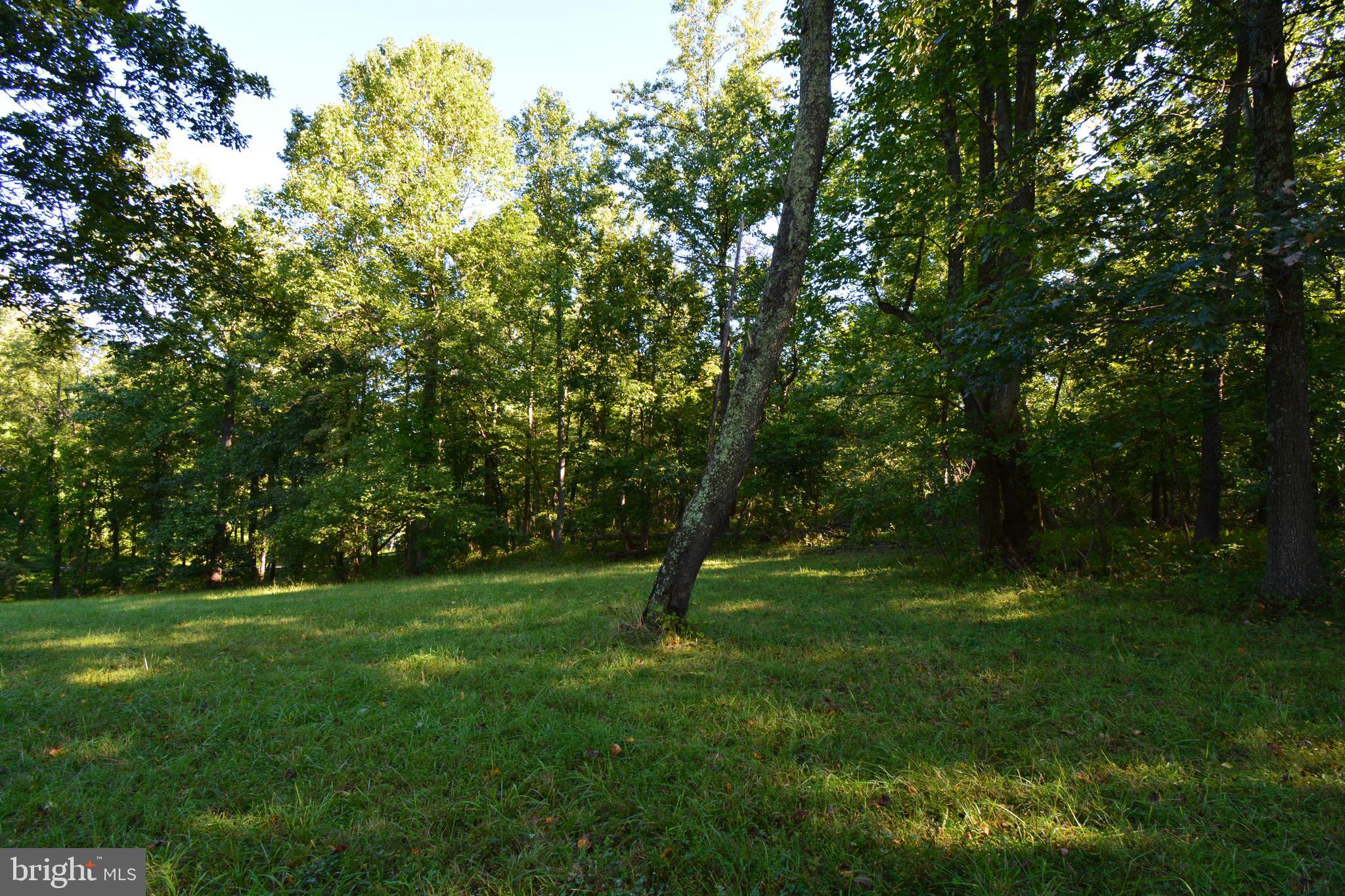 Mountain Road Broad Run, VA 20137 - Photo 11 of 25 Approx. Center of Lot - View 3
