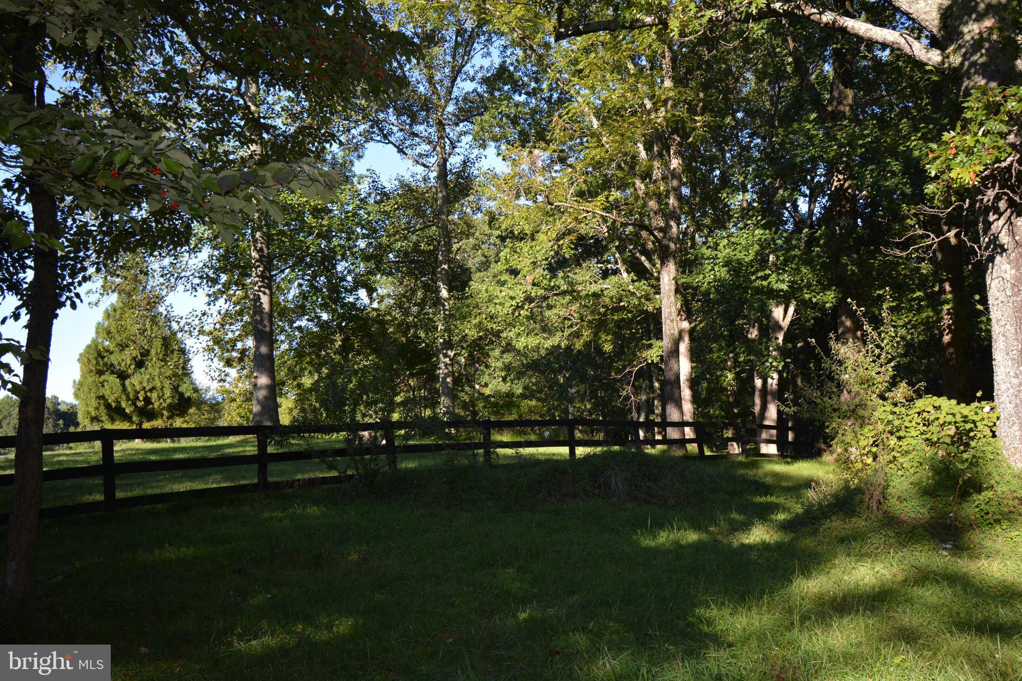 Mountain Road Broad Run, VA 20137 - Photo 12 of 25 Approx. Center of Lot - View 4