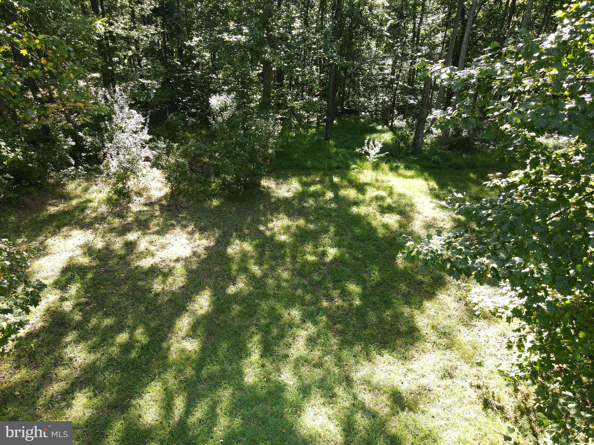 Mountain Road Broad Run, VA 20137 - Photo 13 of 25 Approx. Center of Lot - View 5