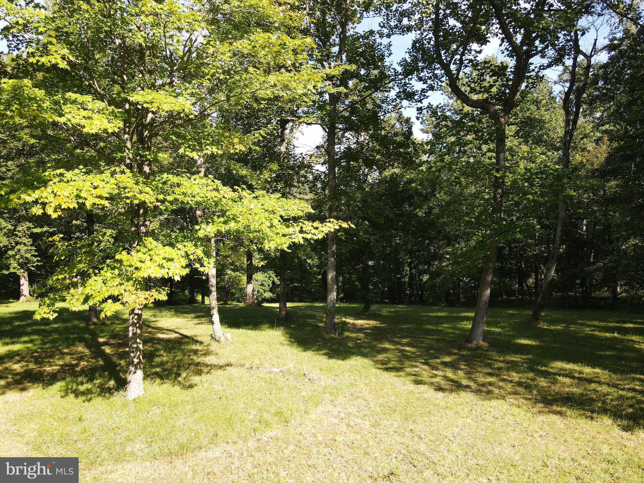 Mountain Road Broad Run, VA 20137 - Photo 15 of 25 Approx. Center of Lot - View 7