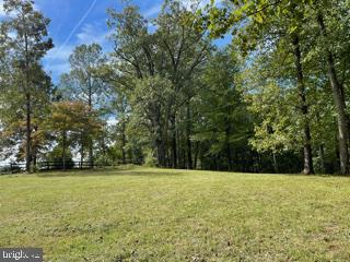 Mountain Road Broad Run, VA 20137 - Photo 16 of 25 Approx. Center of Lot - View 8