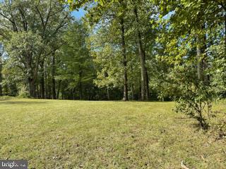 Mountain Road Broad Run, VA 20137 - Photo 17 of 25 Approx. Center of Lot - View 9