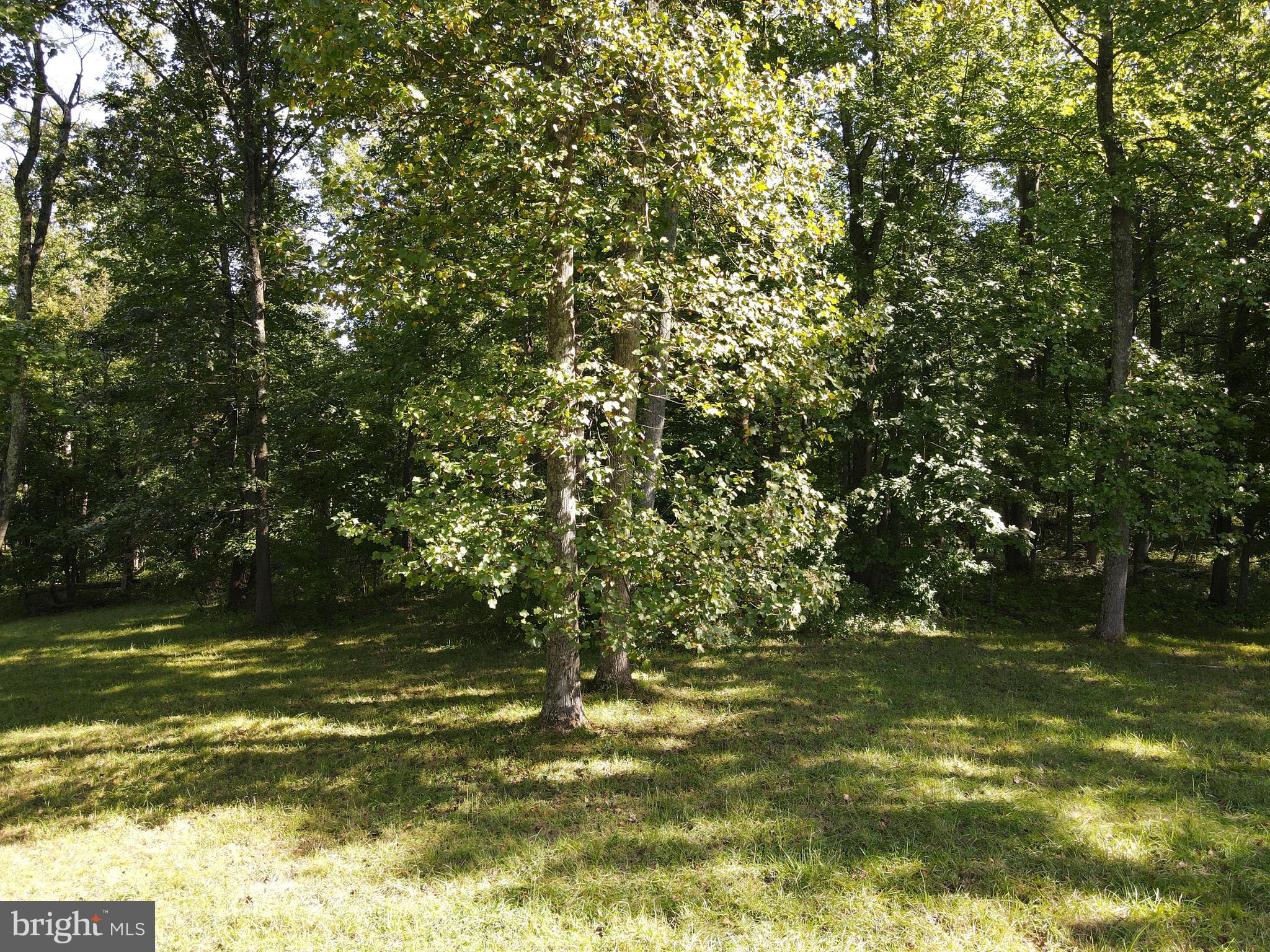 Mountain Road Broad Run, VA 20137 - Photo 18 of 25 Approx. Center of Lot - View 10Approx. Center of L