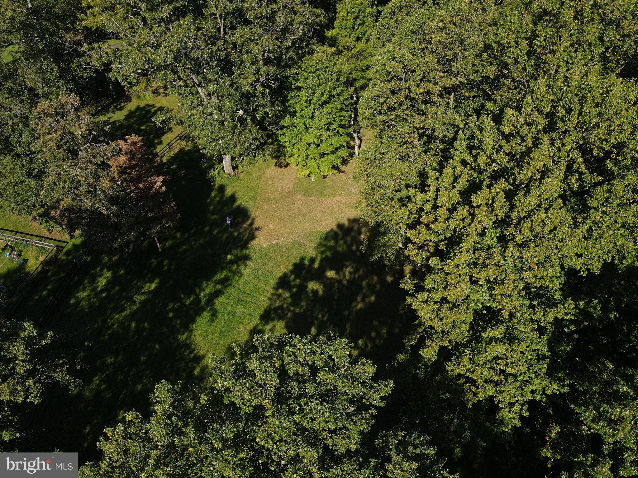Mountain Road Broad Run, VA 20137 - Photo 21 of 25 Approx. Center of Lot - View 13