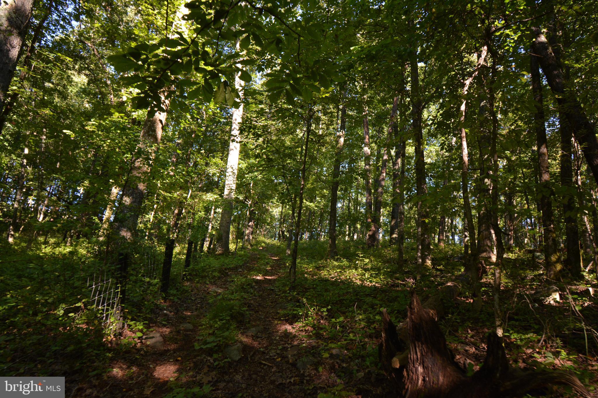 Mountain Road Broad Run, VA 20137 - Photo 23 of 25 Back of Lot View
