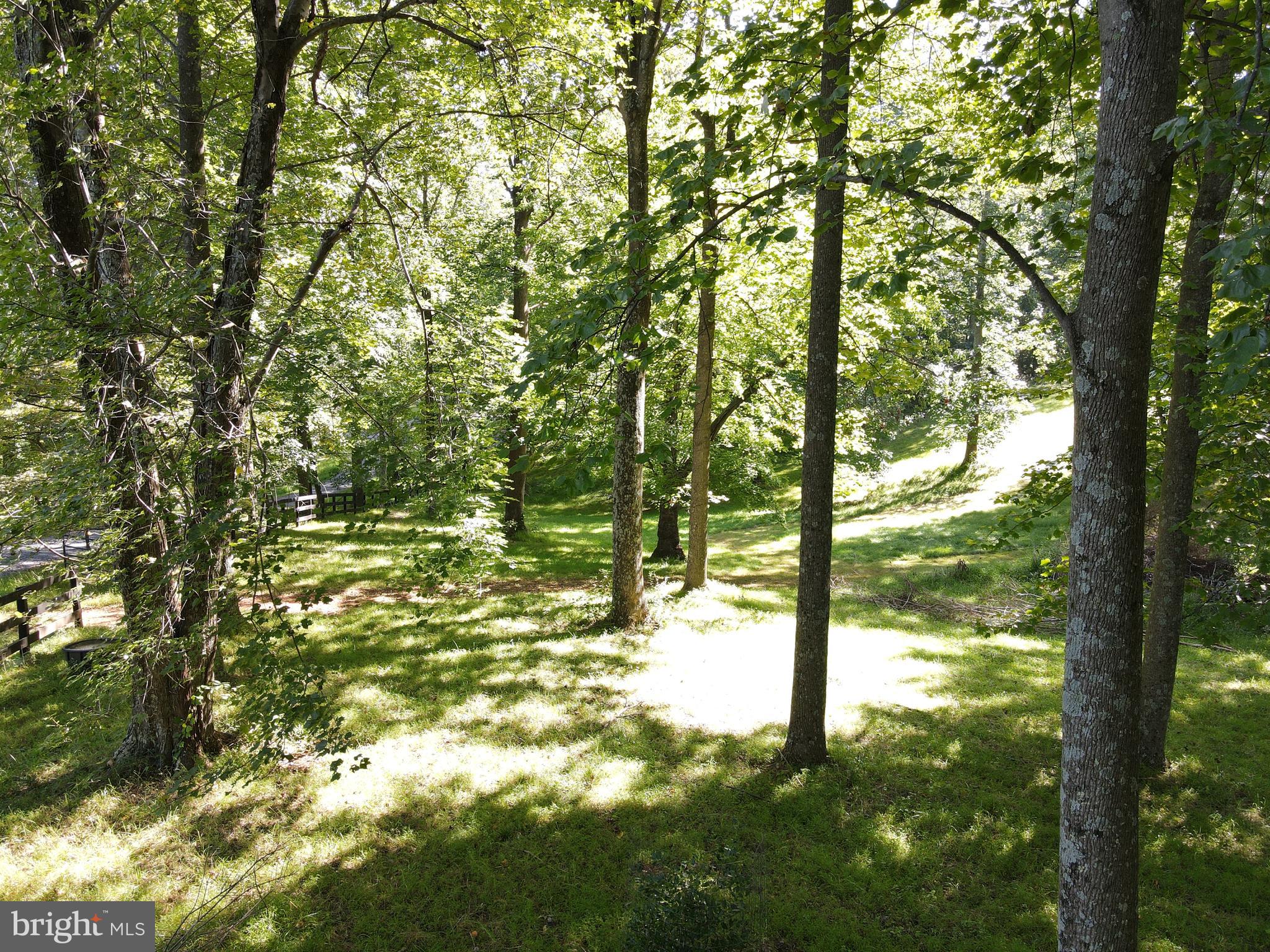 Mountain Road Broad Run, VA 20137 - Photo 4 of 25 Front of Lot - View 1