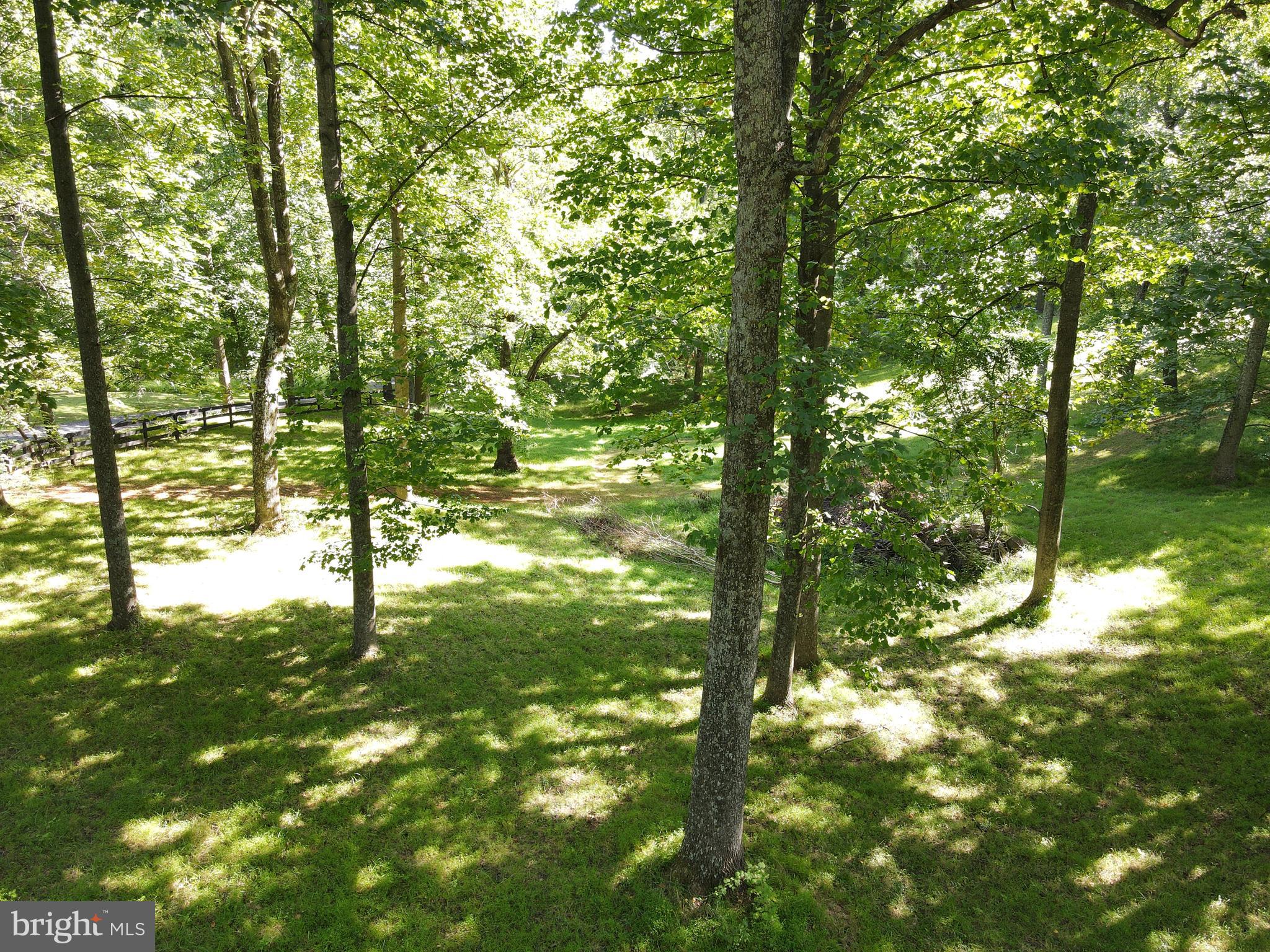 Mountain Road Broad Run, VA 20137 - Photo 5 of 25 Front of Lot - View 2