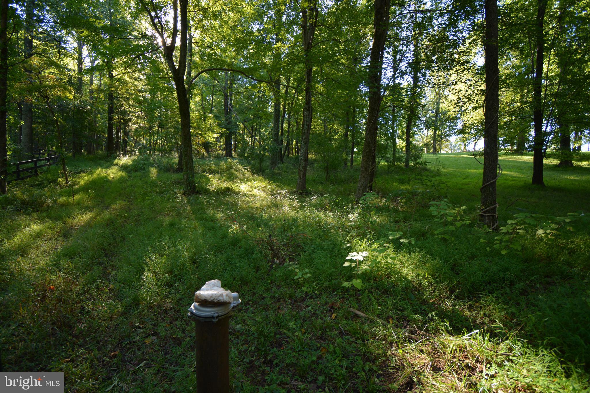 Mountain Road Broad Run, VA 20137 - Photo 6 of 25 Existing Well