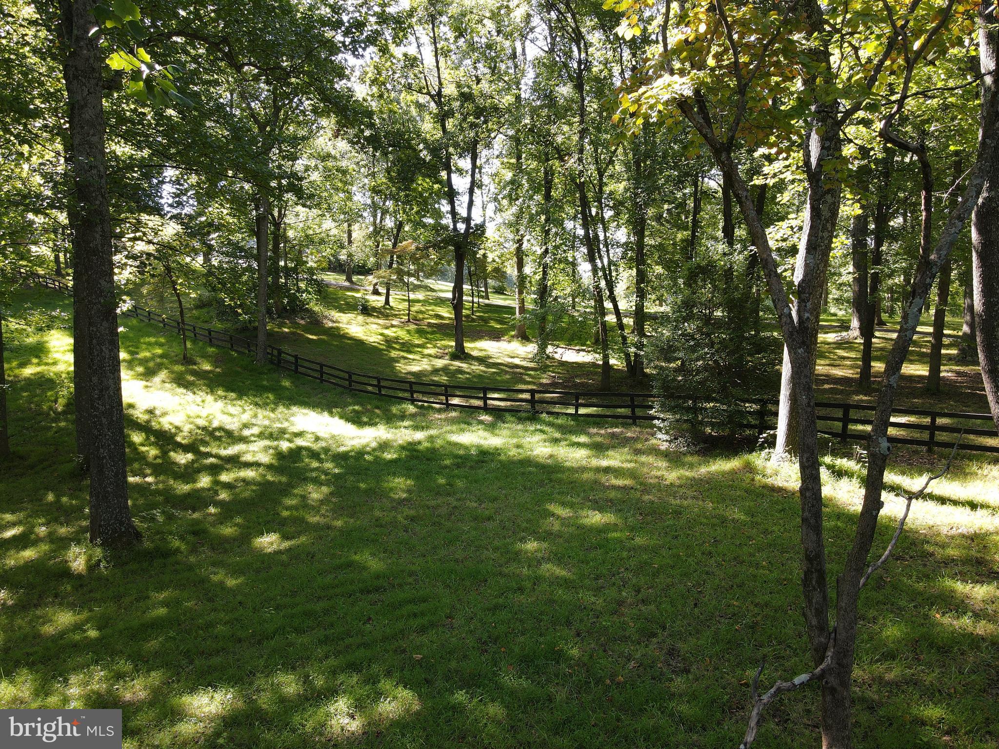 Mountain Road Broad Run, VA 20137 - Photo 8 of 25 Front of Lot Opposite Side of Well