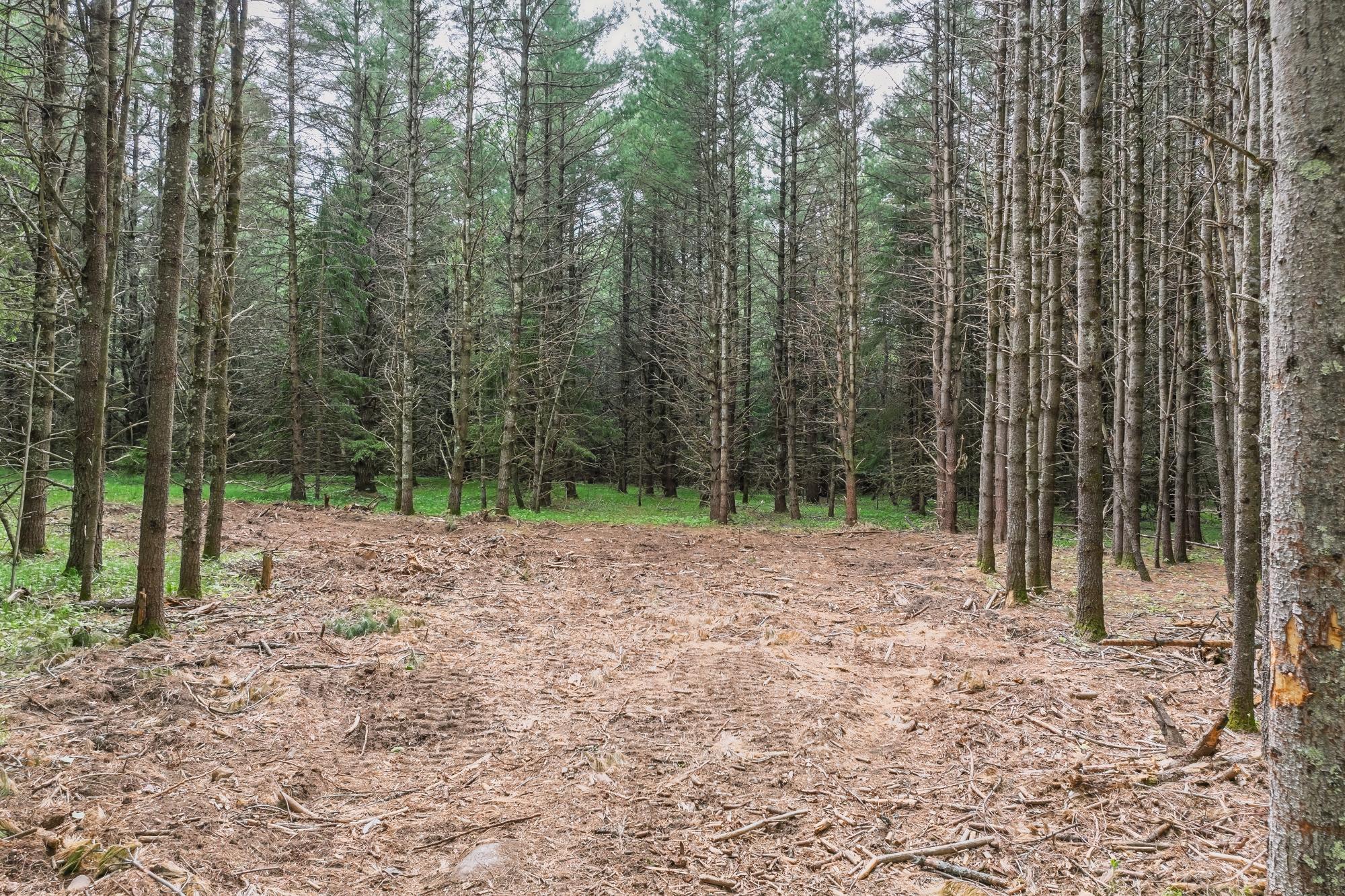 Off Church Road, Unit 3 Conover, WI 54519 - Photo 6 of 18 Gallery Image 6