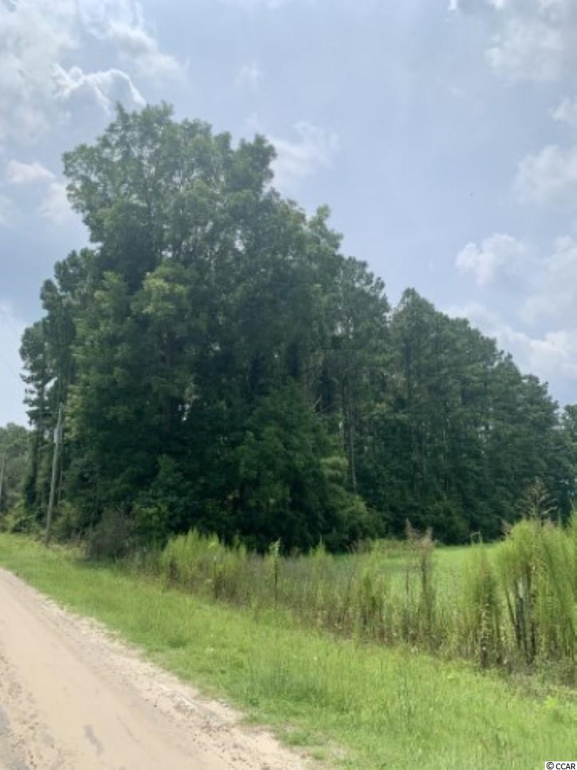 Tbb Old Star Bluff Road Longs, SC 29568 - Photo 2 of 4 Gallery Image 2