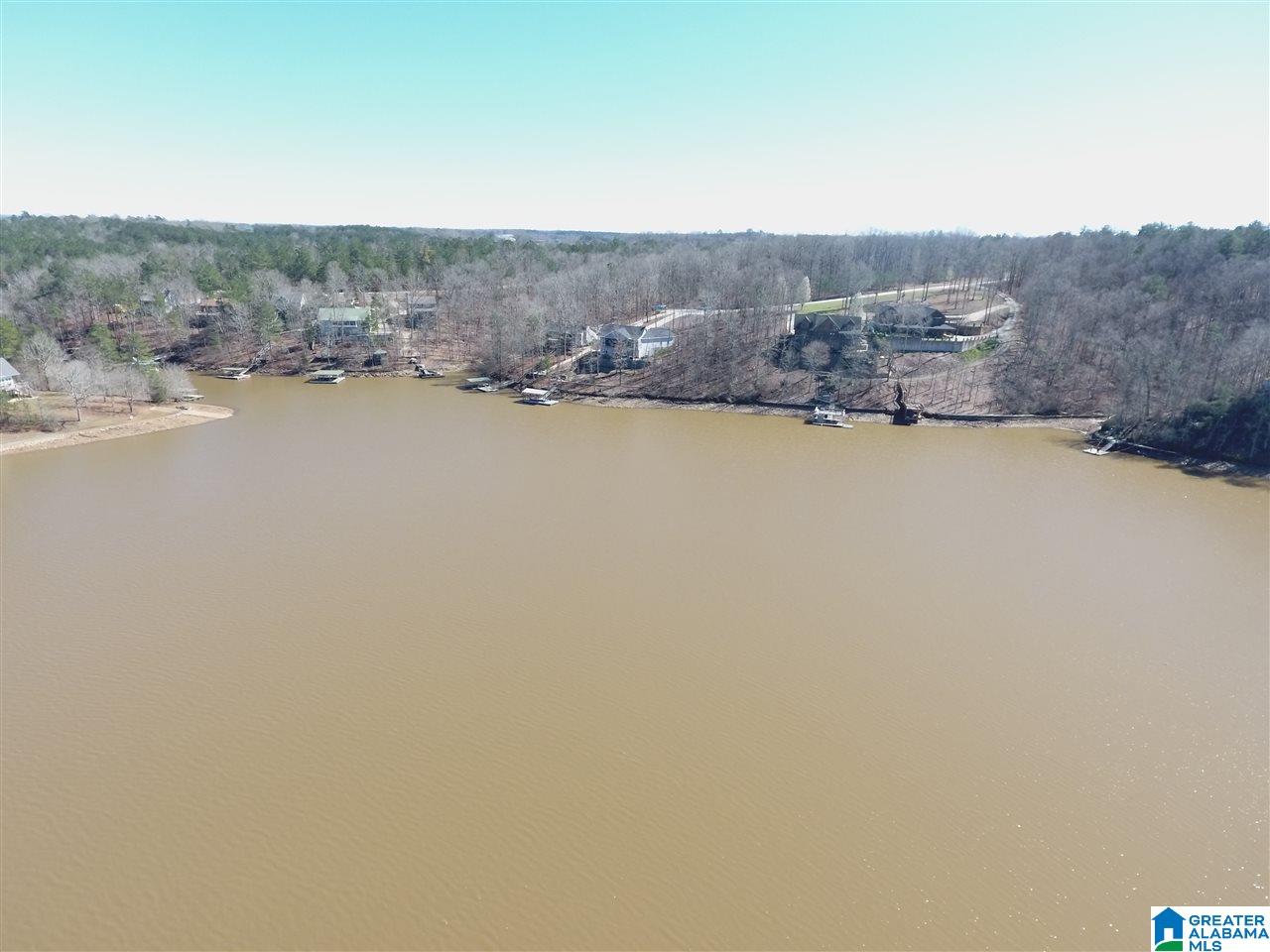 46 Ridgeview Court, Unit LOT #46 Wedowee, AL 36278 - Photo 5 of 15